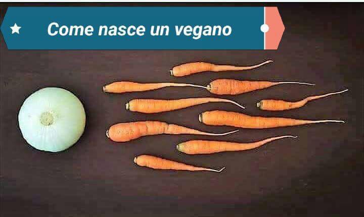 WhatsApp Image 2018-07-06 at 18.30.54